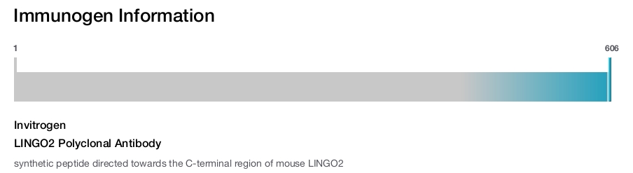 LINGO2 Polyclonal Antibody