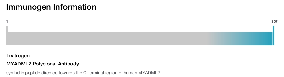 MYADML2 Polyclonal Antibody