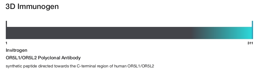 OR5L1/OR5L2 Polyclonal Antibody