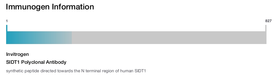 SIDT1 Polyclonal Antibody
