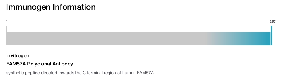 FAM57A Polyclonal Antibody
