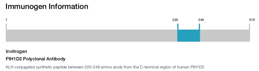 PIH1D2 Polyclonal Antibody