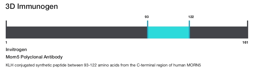 Morn5 Polyclonal Antibody