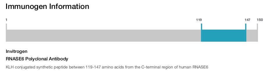 RNASE6 Polyclonal Antibody