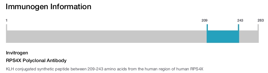 RPS4X Polyclonal Antibody