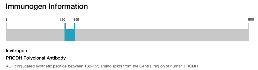 PRODH Polyclonal Antibody