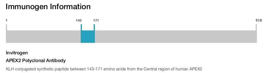 APEX2 Polyclonal Antibody