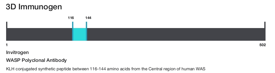 WASP Polyclonal Antibody