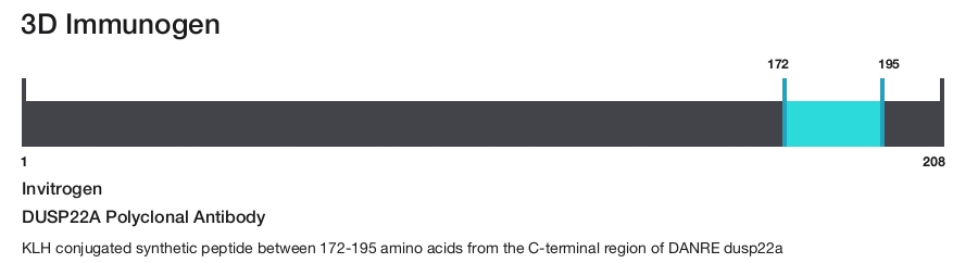 DUSP22A Polyclonal Antibody