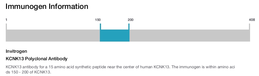 KCNK13 Polyclonal Antibody