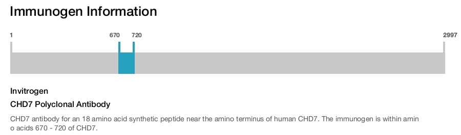 CHD7 Polyclonal Antibody