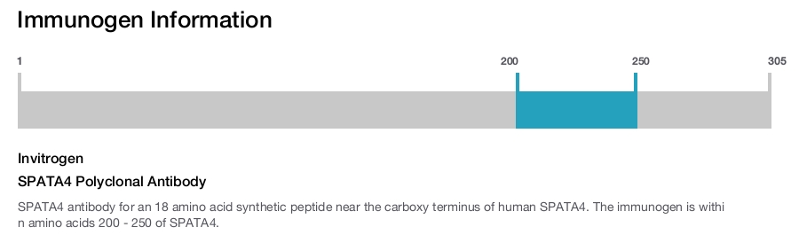 SPATA4 Polyclonal Antibody