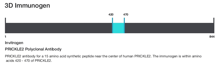PRICKLE2 Polyclonal Antibody