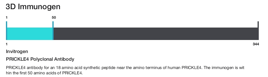 PRICKLE4 Polyclonal Antibody