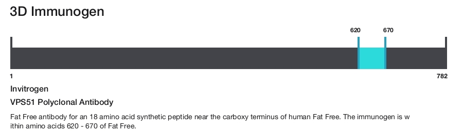 VPS51 Polyclonal Antibody