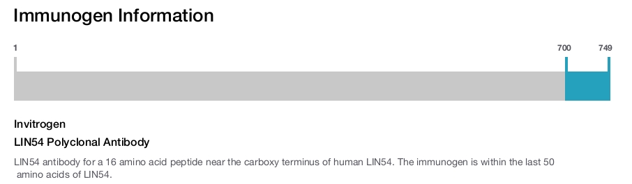 LIN54 Polyclonal Antibody