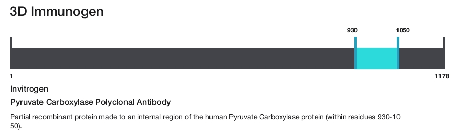 Pyruvate Carboxylase Polyclonal Antibody
