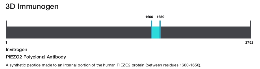 PIEZO2 Polyclonal Antibody