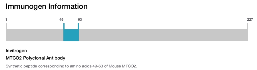 MTCO2 Polyclonal Antibody