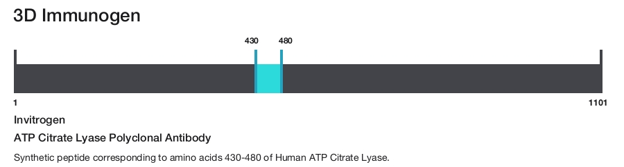 ATP Citrate Lyase Polyclonal Antibody