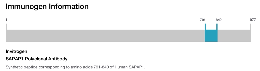 SAPAP1 Polyclonal Antibody