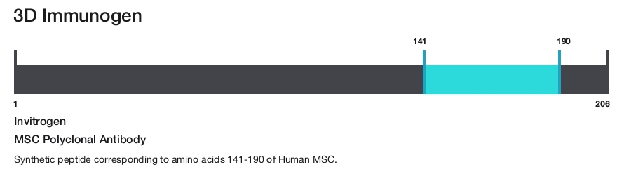 MSC Polyclonal Antibody