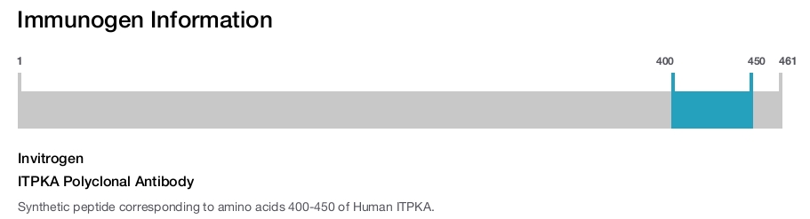 ITPKA Polyclonal Antibody