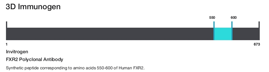 FXR2 Polyclonal Antibody