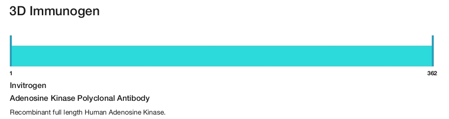 Adenosine Kinase Polyclonal Antibody