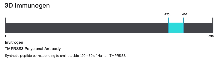 TMPRSS3 Polyclonal Antibody