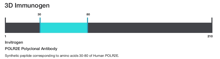 POLR2E Polyclonal Antibody