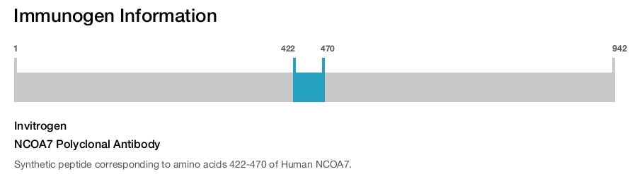 NCOA7 Polyclonal Antibody