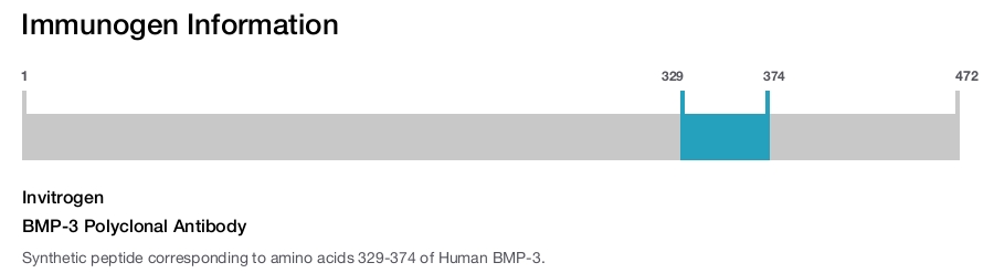BMP-3 Polyclonal Antibody