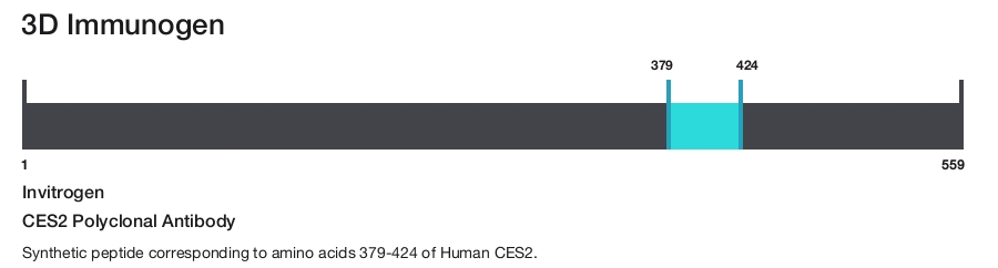 CES2 Polyclonal Antibody