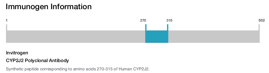 CYP2J2 Polyclonal Antibody