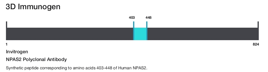 NPAS2 Polyclonal Antibody