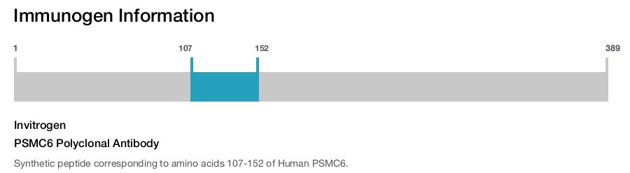 PSMC6 Polyclonal Antibody