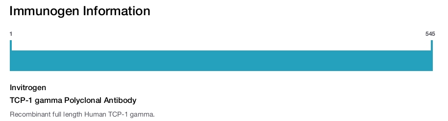 TCP-1 gamma Polyclonal Antibody