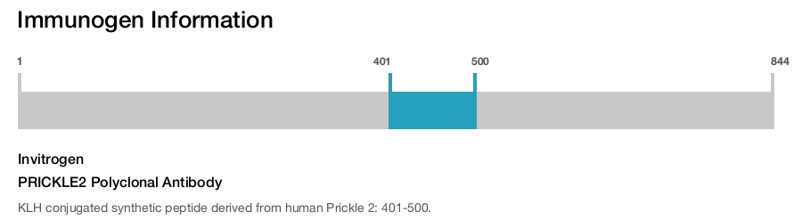 PRICKLE2 Polyclonal Antibody
