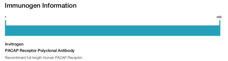PACAP Receptor Polyclonal Antibody