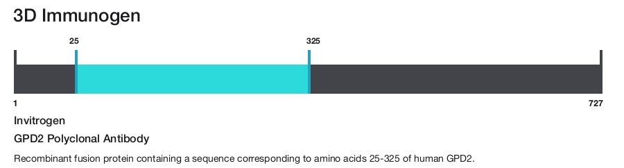 GPD2 Polyclonal Antibody