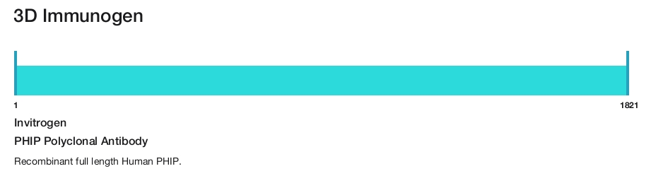 PHIP Polyclonal Antibody