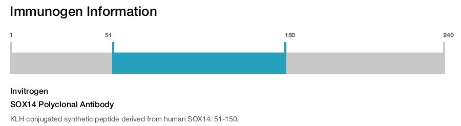 SOX14 Polyclonal Antibody