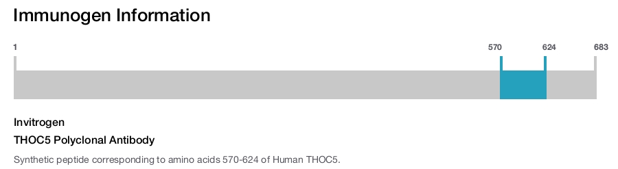 THOC5 Polyclonal Antibody