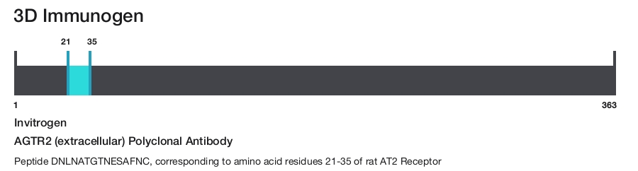 AGTR2 (extracellular) Polyclonal Antibody