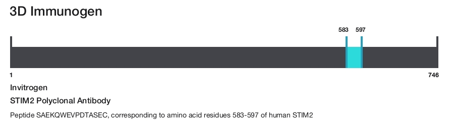 STIM2 Polyclonal Antibody