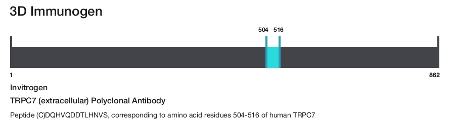 TRPC7 (extracellular) Polyclonal Antibody
