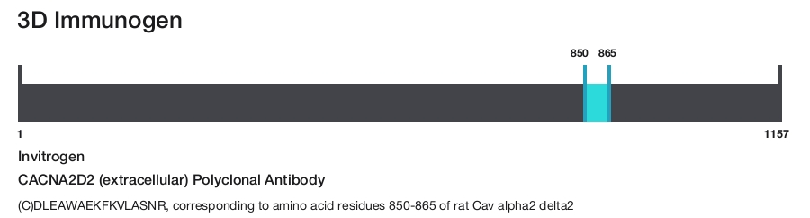 CACNA2D2 (extracellular) Polyclonal Antibody