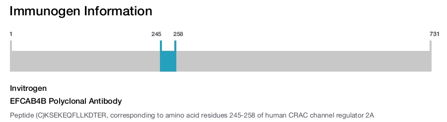 EFCAB4B Polyclonal Antibody