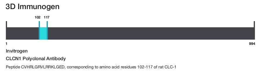 CLCN1 Polyclonal Antibody